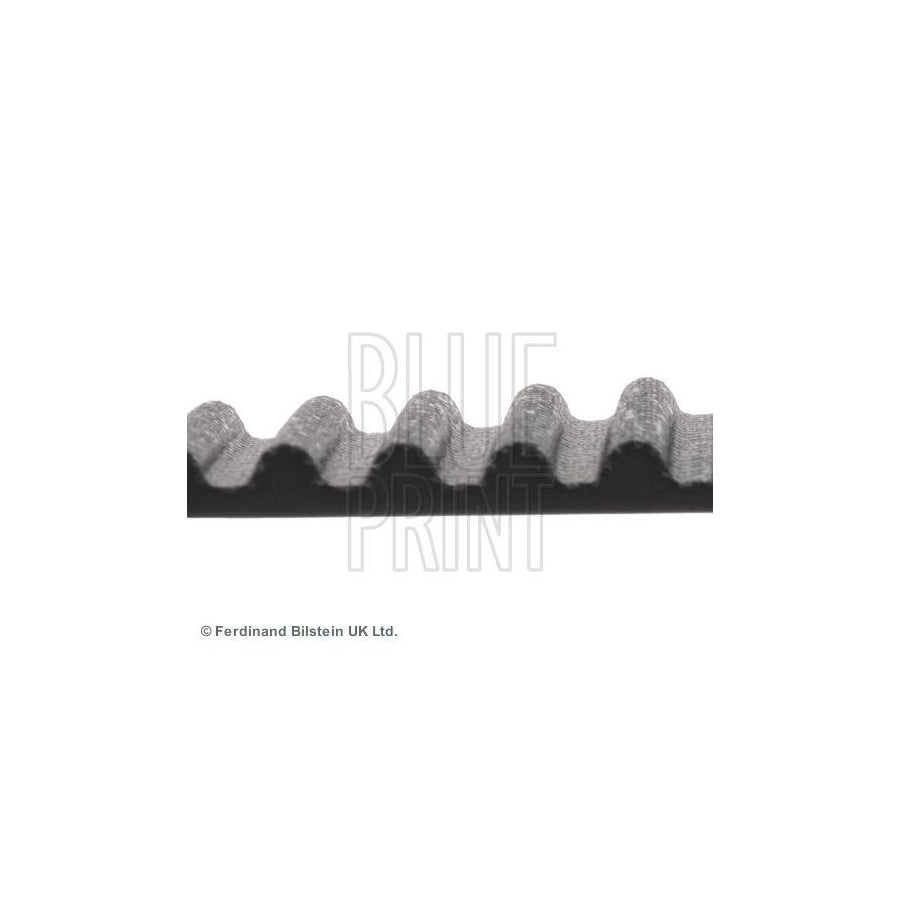Blue Print Adc47536 Timing Belt for Mitsubishi Pajero / Shogun