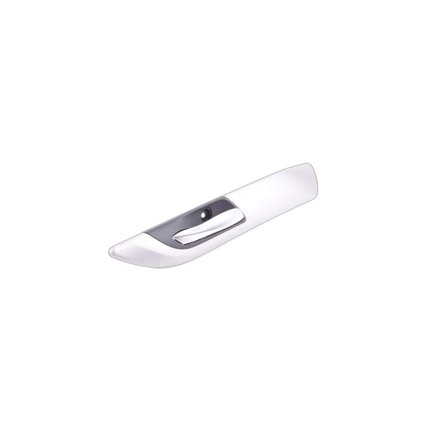 Genuine BMW 51419167031 E89 Door Handle, Alu Linear Brushed, Left (Inc. Z4)