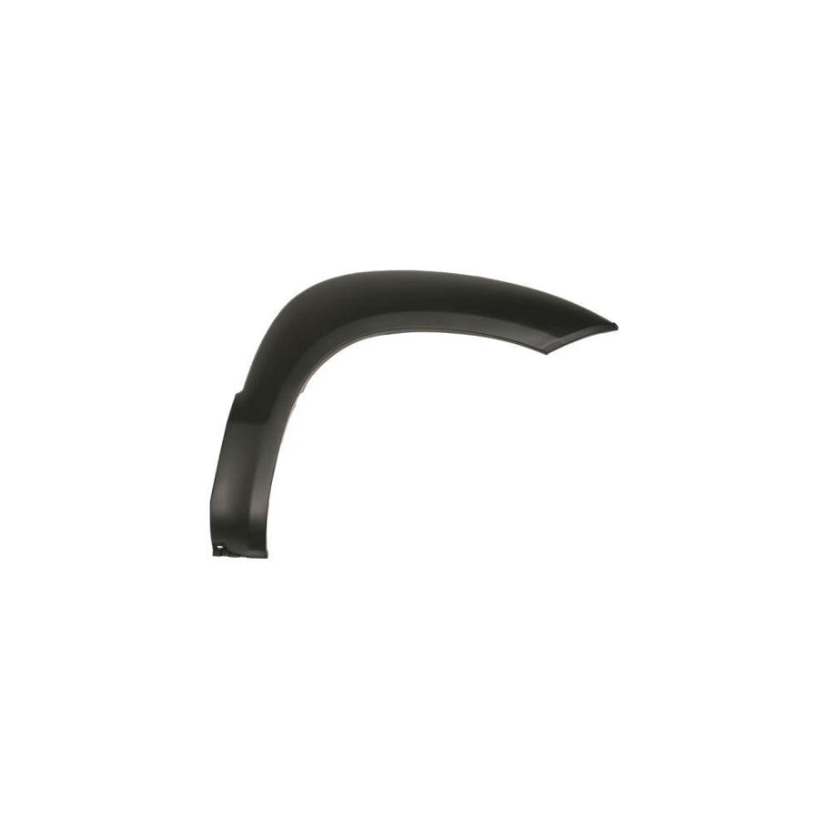 Blic 5703-08-3175376P Trim / Protective Strip, Mudguard for Hyundai Tucson (Jm)