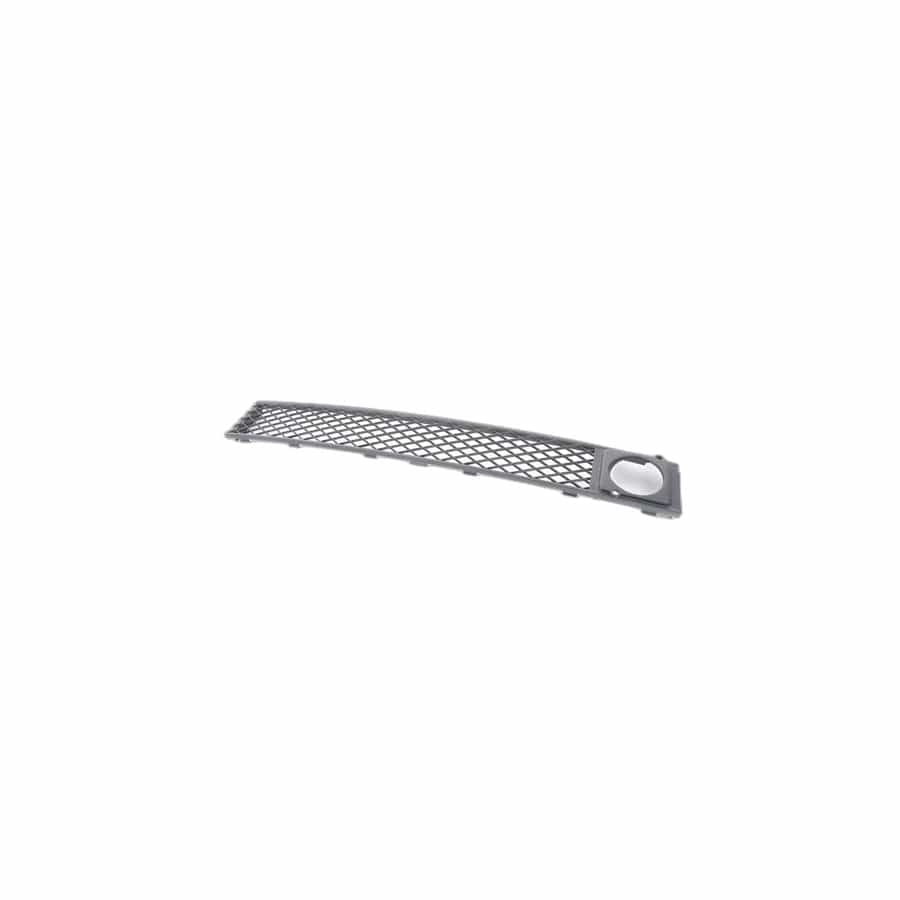 Genuine BMW 51117186507 F02 F01 F04 Grill, Air Intake, Center ACC (Inc. 730Li, 760i & Hybrid 7)