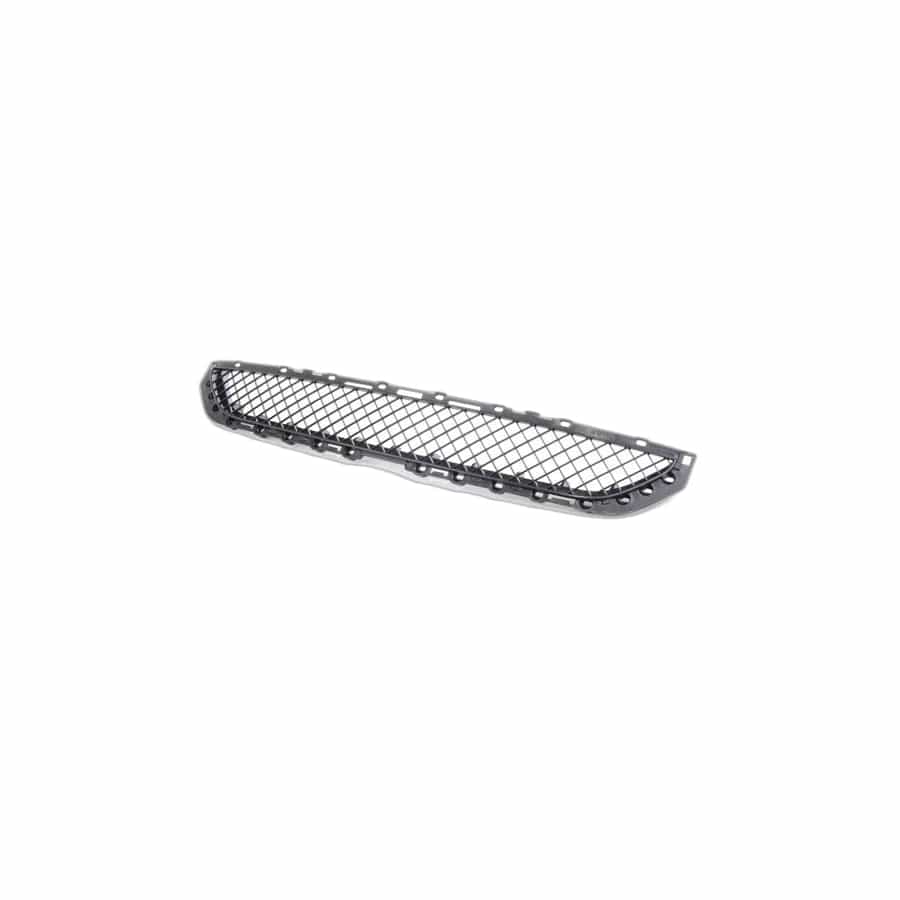 Genuine BMW 51118204363 E46 Grid (Inc. 325Ci, 318Ci & 328Ci)