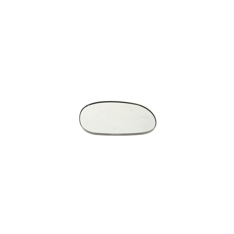 Blic 6504-03-2532583P Sidewall for Ford Focus