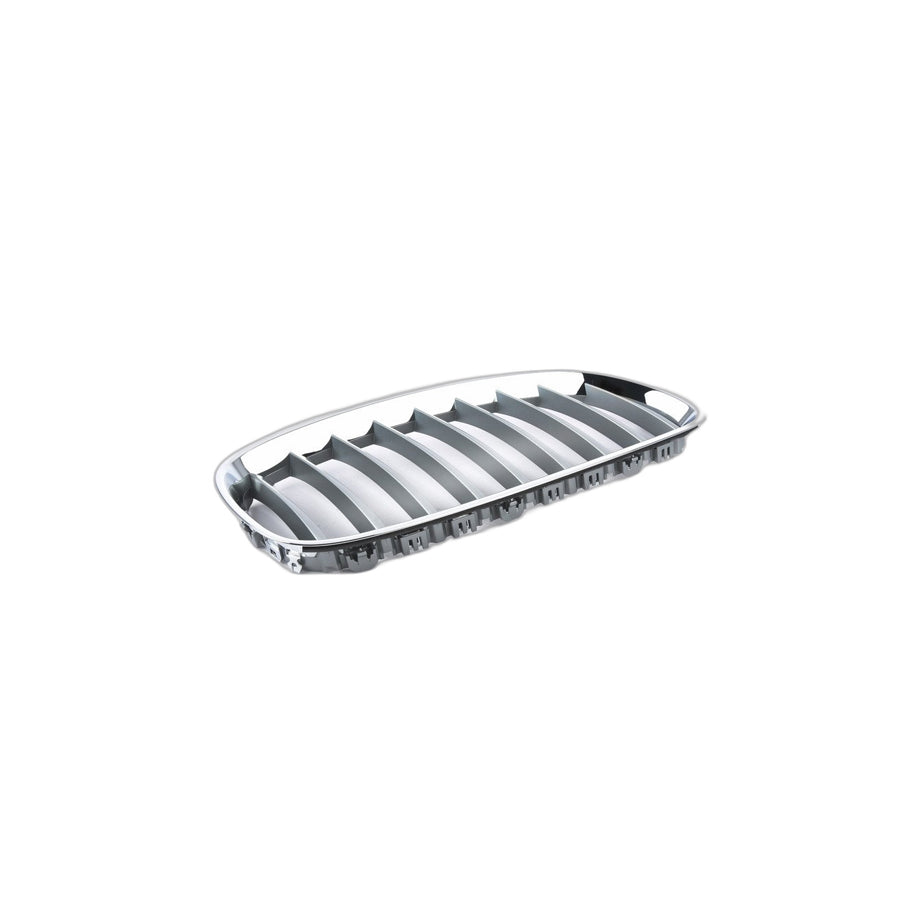 Genuine BMW 51137181548 E89 Grille Right ALU MATT (Inc. Z4)