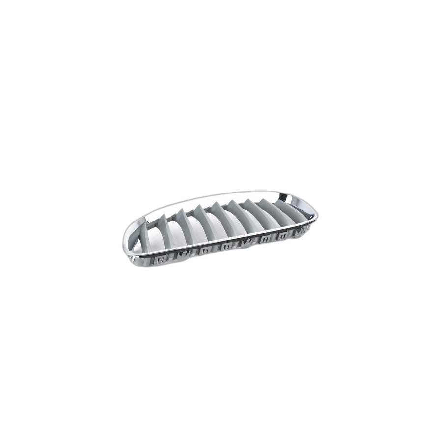 Genuine BMW 51137181547 E89 Grille Left ALU MATT (Inc. Z4)