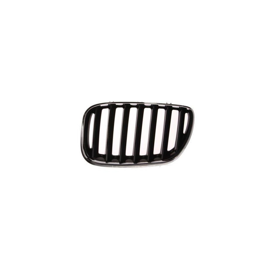 Blic 6502-07-0095995P Radiator Grille for BMW X5 (E53)