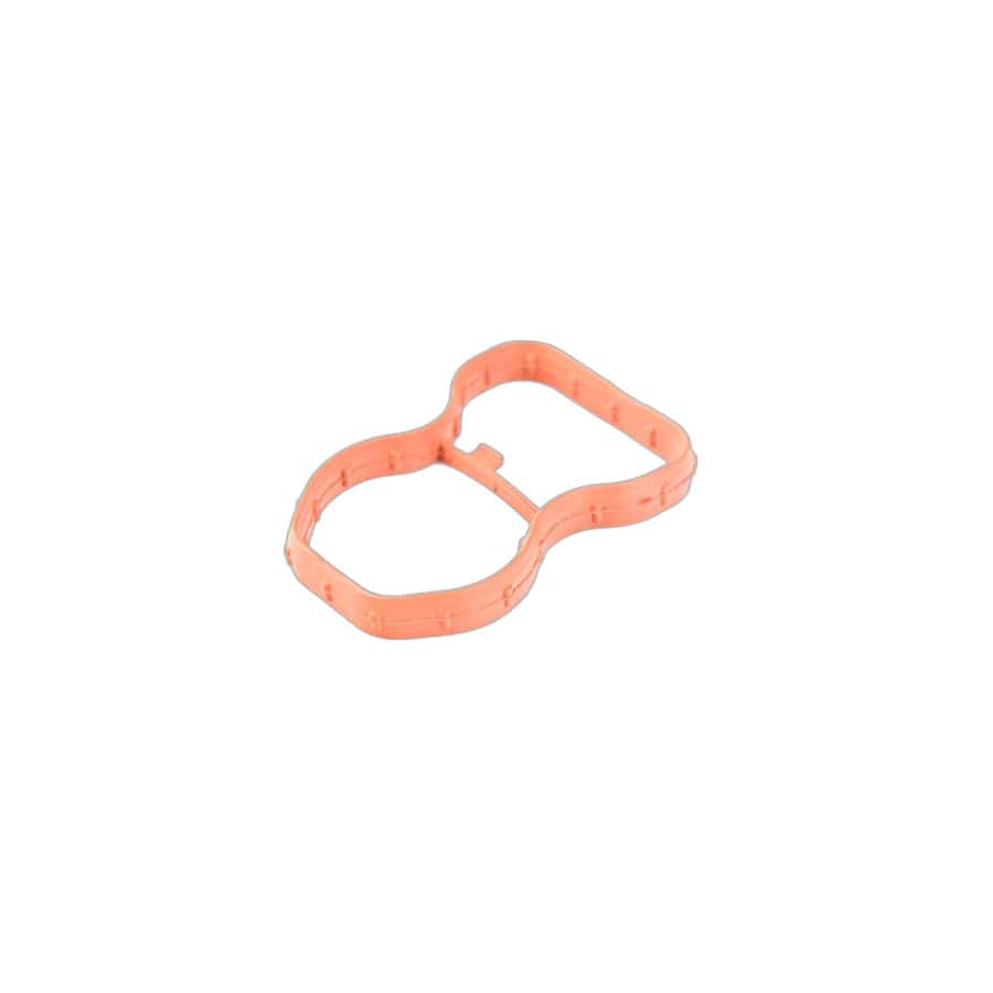 Genuine BMW 11618507335 F11 F02 F10 Profile-Gasket (Inc. 730d, 330d & 330dX)