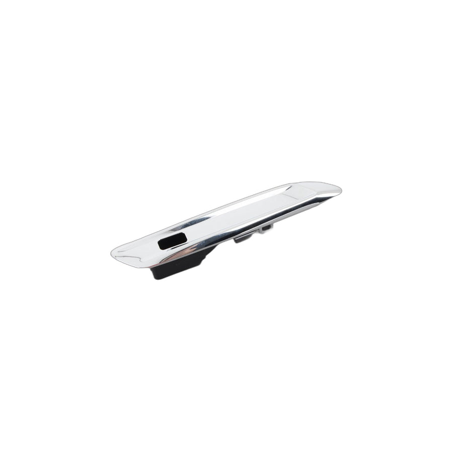 Genuine BMW 51137336647 Finisher, Side Panel, Front Left (Inc. 550iX, M550dX & 535d)