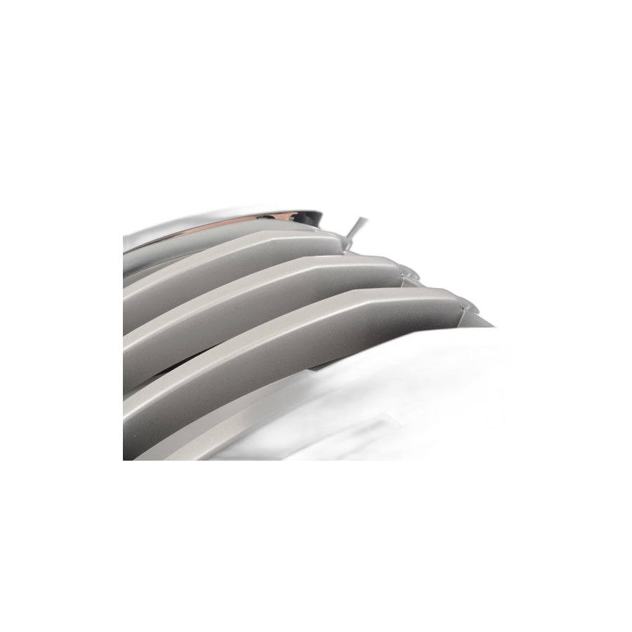 Genuine BMW 51137307599 E71 Grille, Front, Left TITAN 2 (Inc. X6)