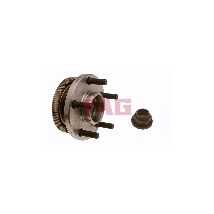 FAG 713 6600 10 Wheel Bearing Kit