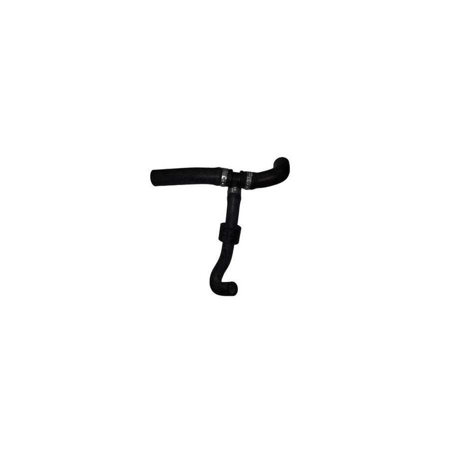 BUGIAD Bsp25017 Radiator Hose