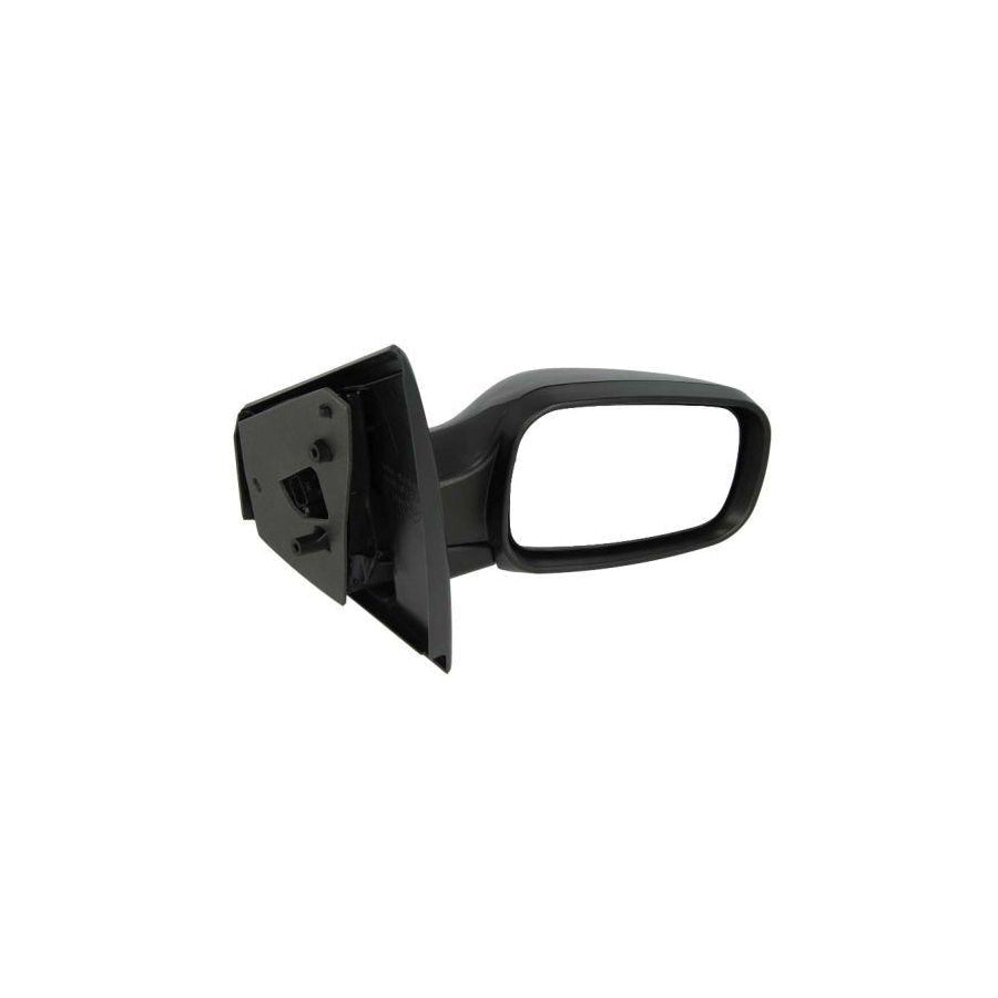 Blic 5402-04-1122175P Wing Mirror for Renault Clio