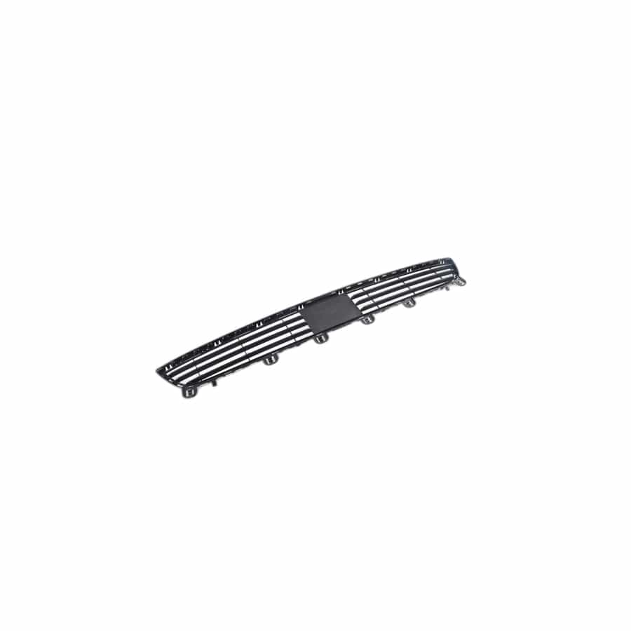 Genuine BMW 51117303083 F15 Grill, Center Lower ACC (Inc. X5)
