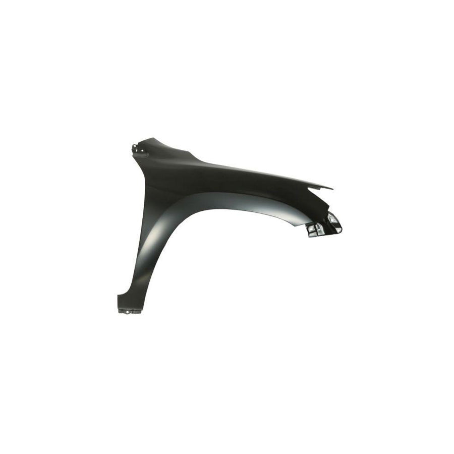 Blic 6504-04-8179320P Wing Fender for Toyota Rav4 III Off-Road (Xa30)