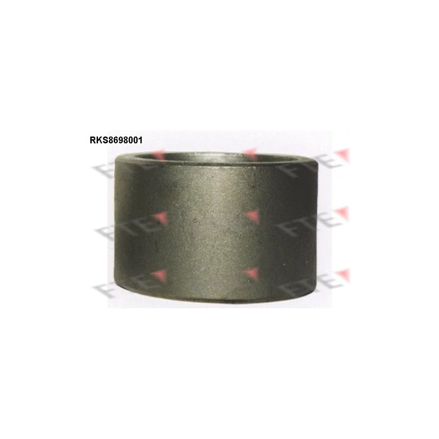 FTE Rks8698001 Piston, Brake Caliper