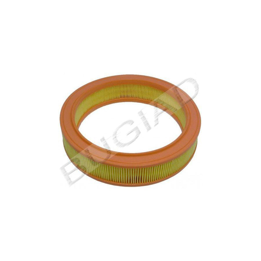 BUGIAD Bsp21308 Air Filter