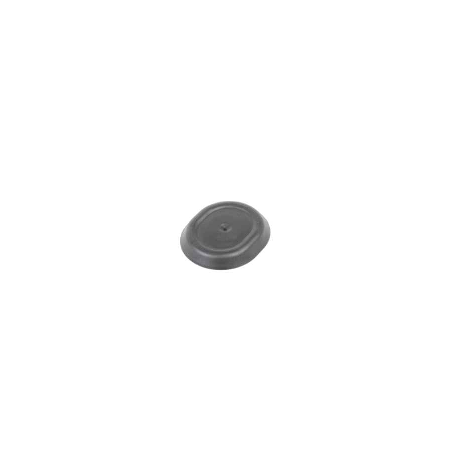 Genuine BMW Mini 07149193300 F12 F13 G02 Blind Plug 25X30mm (Inc. Coop.S JCW GP)