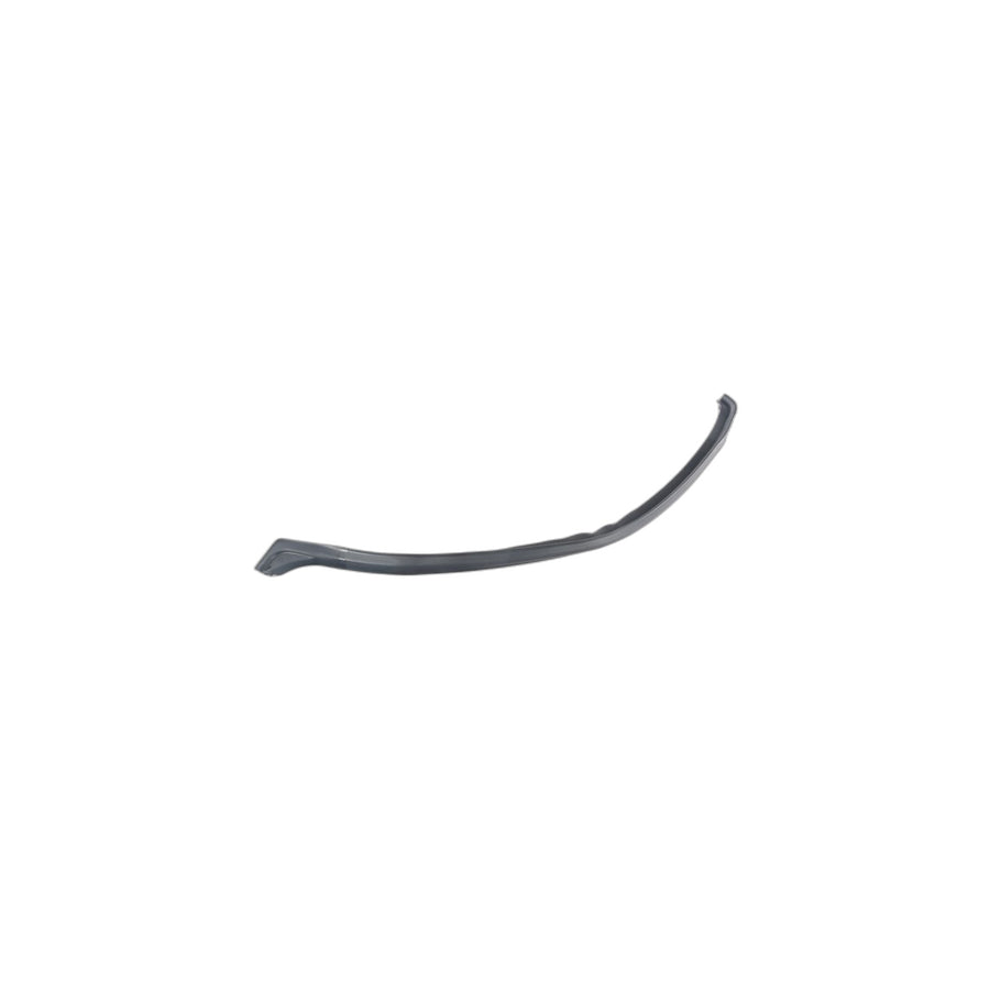 Genuine BMW 51226640189 Right Rear Sealing (Inc. 1500)