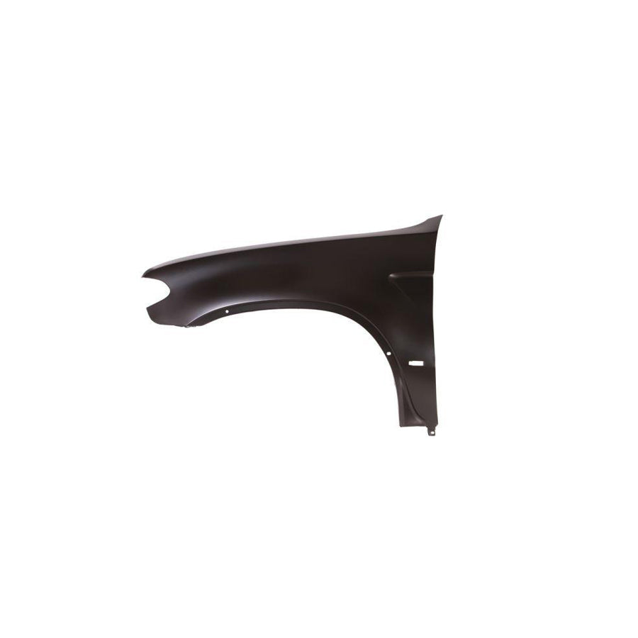 Blic 6504-04-0095313P Wing Fender for BMW X5 (E53)