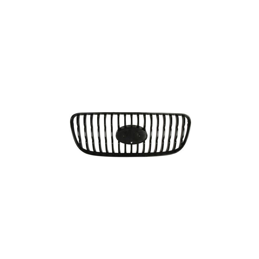 Blic 6502-07-3265990P Radiator Grille for KIA Picanto I (Sa)