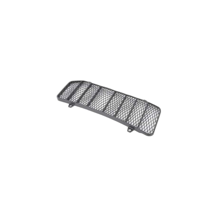 Genuine BMW 51231840422 E21 Grating Right (Inc. 320)