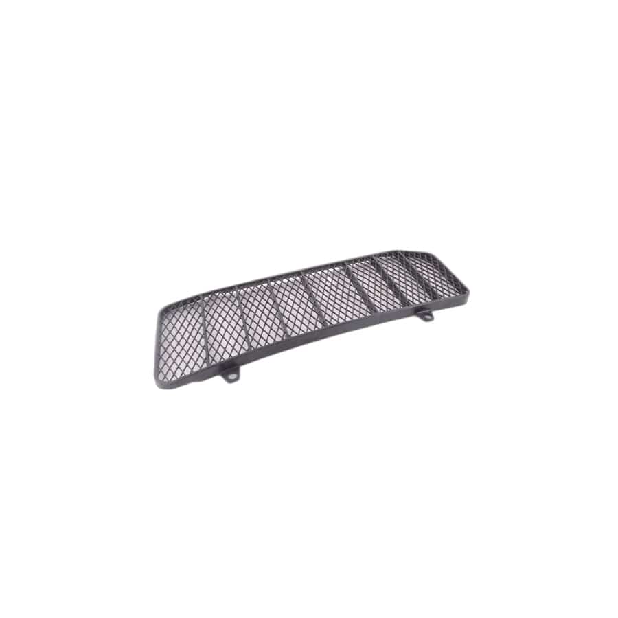 Genuine BMW 51231840421 E21 Grating Left (Inc. 320)