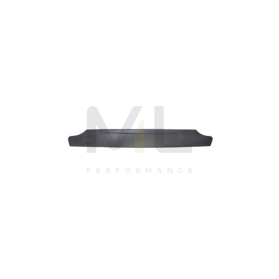 BLIC 5510-00-6006920P Number plate holder for RENAULT Twingo II Hatchback Front, Black, frameless