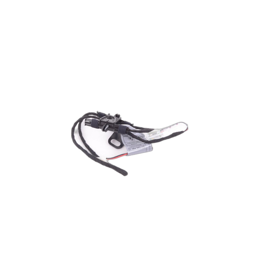 Genuine BMW 63177184660 E71 E70 Door Handle Light, Front Right (Inc. X5)