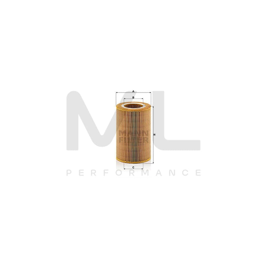 MANN-FILTER C 1041 Air Filter Filter Insert