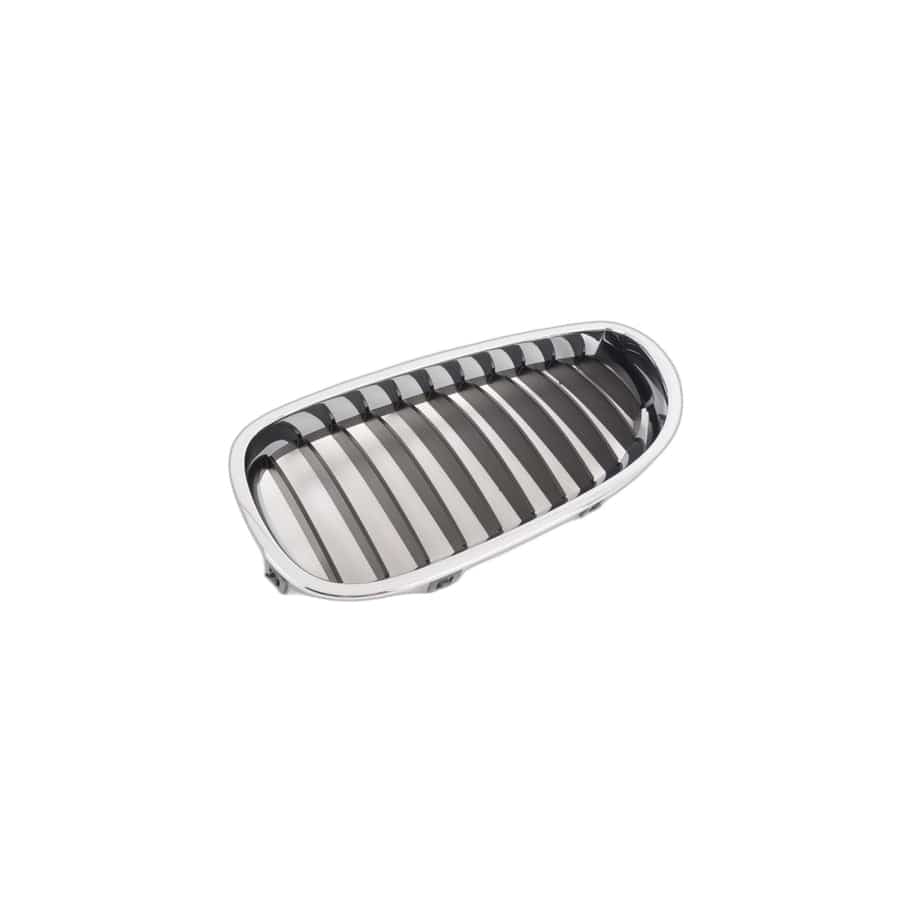 Genuine BMW 51137027061 E60 E61 Grille Left SCHWARZ (Inc. 530xi, 530i & 520d)