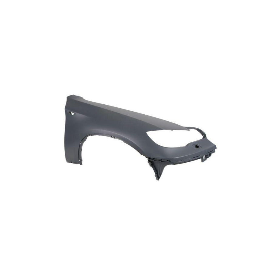 Blic 6504-04-0099314P Wing Fender for BMW X6 (E71, E72)