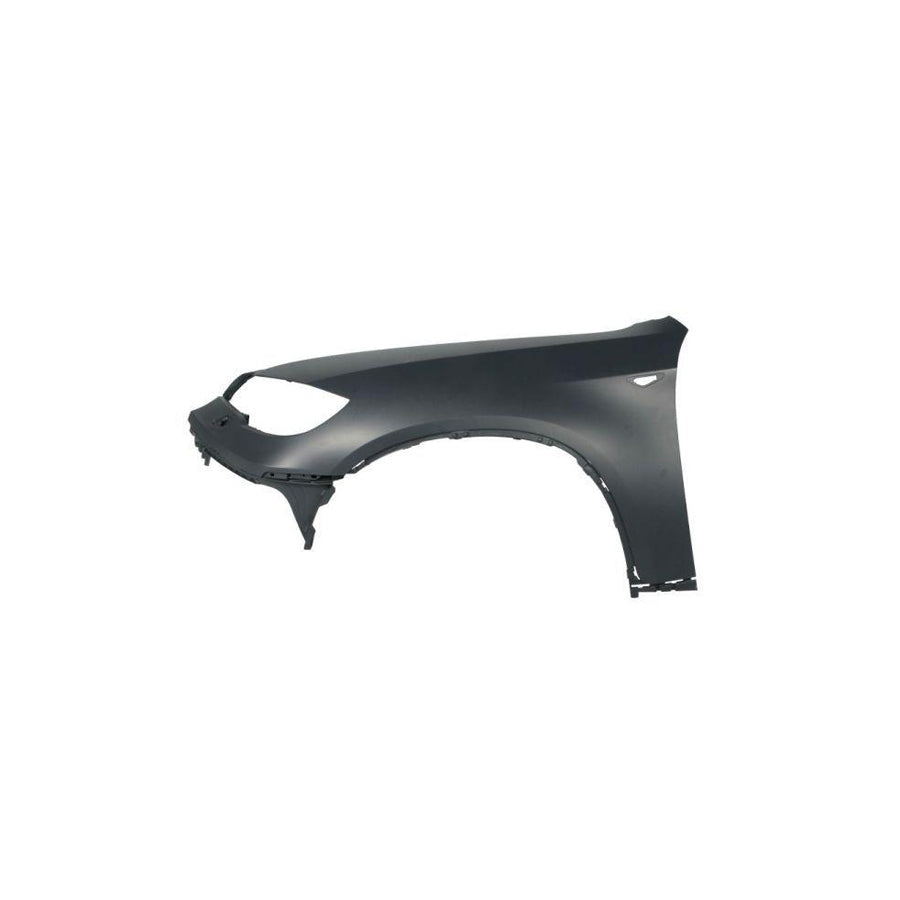 Blic 6504-04-0099313P Wing Fender for BMW X6 (E71, E72)