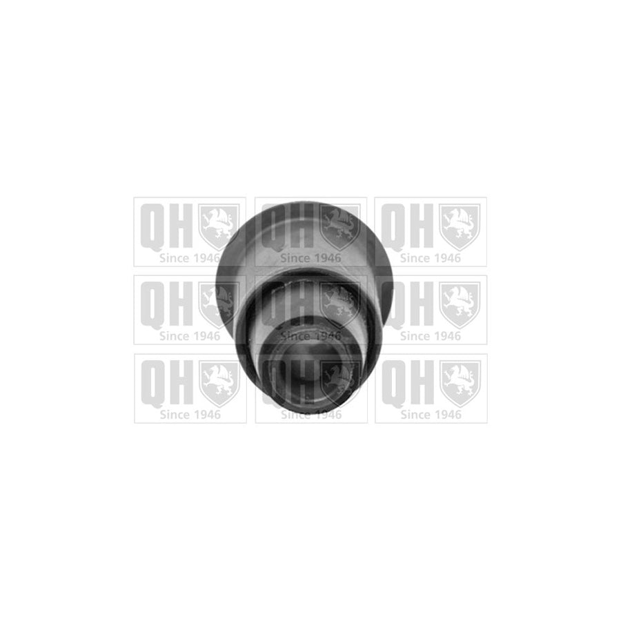 Quinton Hazell EMS8328 Control Arm / Trailing Arm Bush For Renault Espace I (J11)