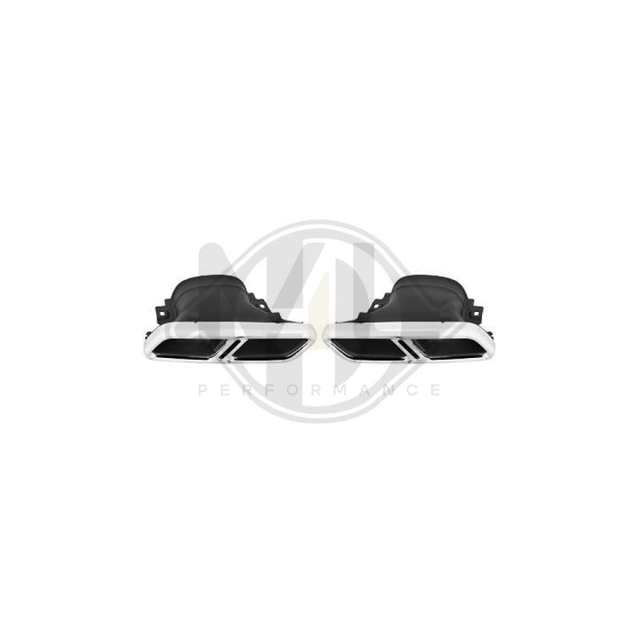 DIEDERICHS 4161801 Exhaust tip suitable for MERCEDES-BENZ GLS (X166) Stainless Steel, Left, Right