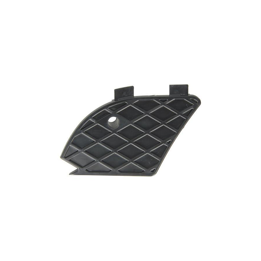 Blic 5513-00-3527911P Bumper Grill Suitable for Mercedes-Benz E-Class