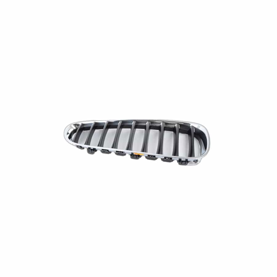Genuine BMW 51137191510 E89 Grille Right CHROMRAHMEN (Inc. Z4)