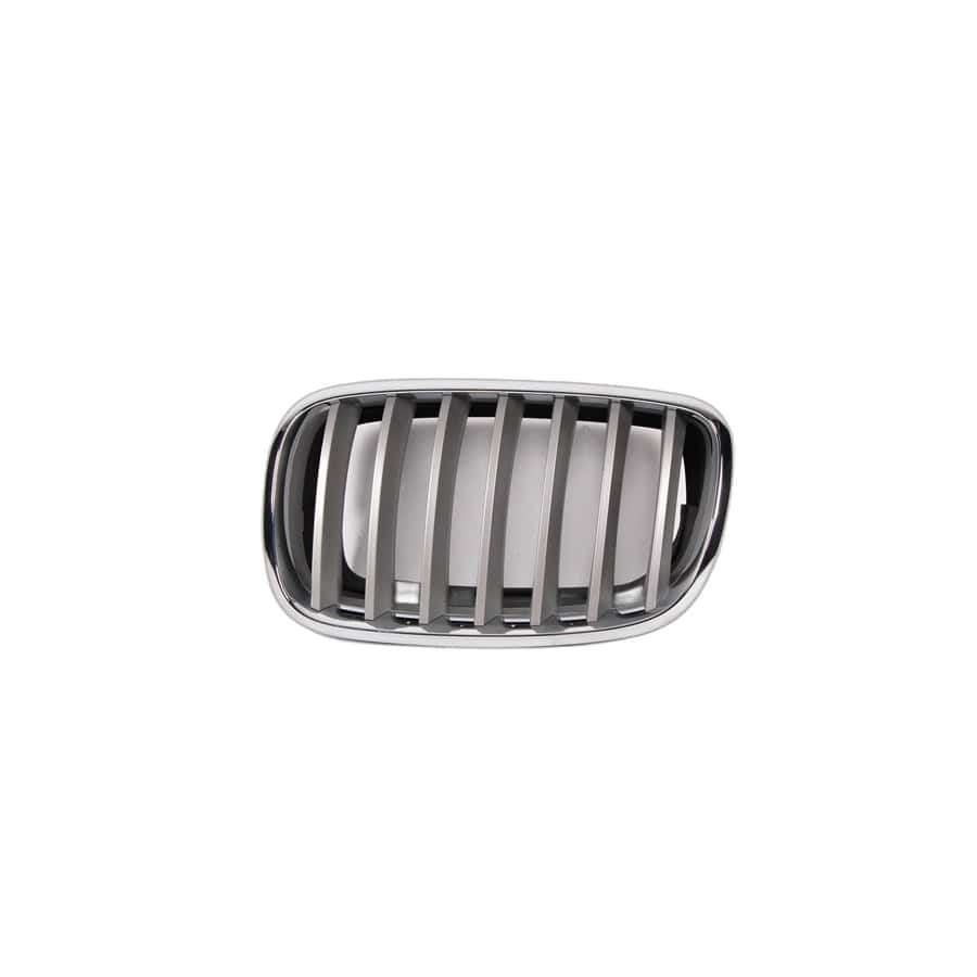 Genuine BMW 51137185223 E70 E71 Grille, Front, Left TITAN 2 (Inc. X6 35iX, X5 3.0d & X5 30dX)