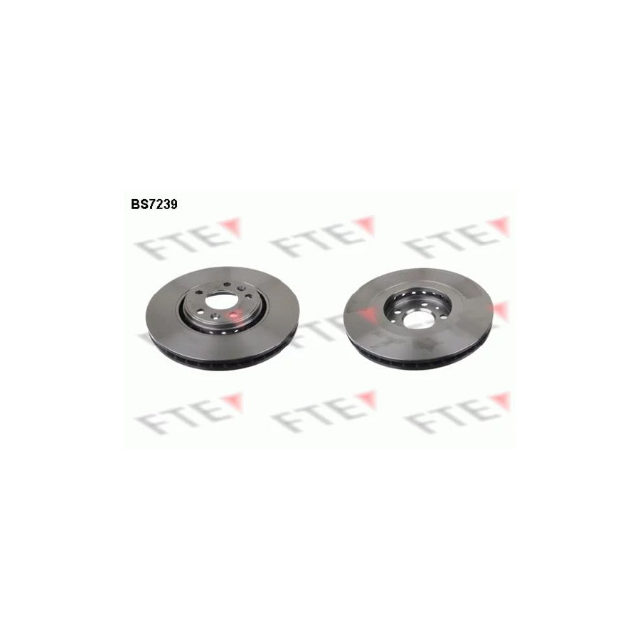 FTE 9071081 Brake Disc