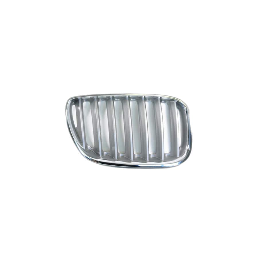 Genuine BMW 51137124816 E53 Grille, Front, Right TITAN 2 (Inc. X5 4.4i, X5 3.0d & X5 4.8is)