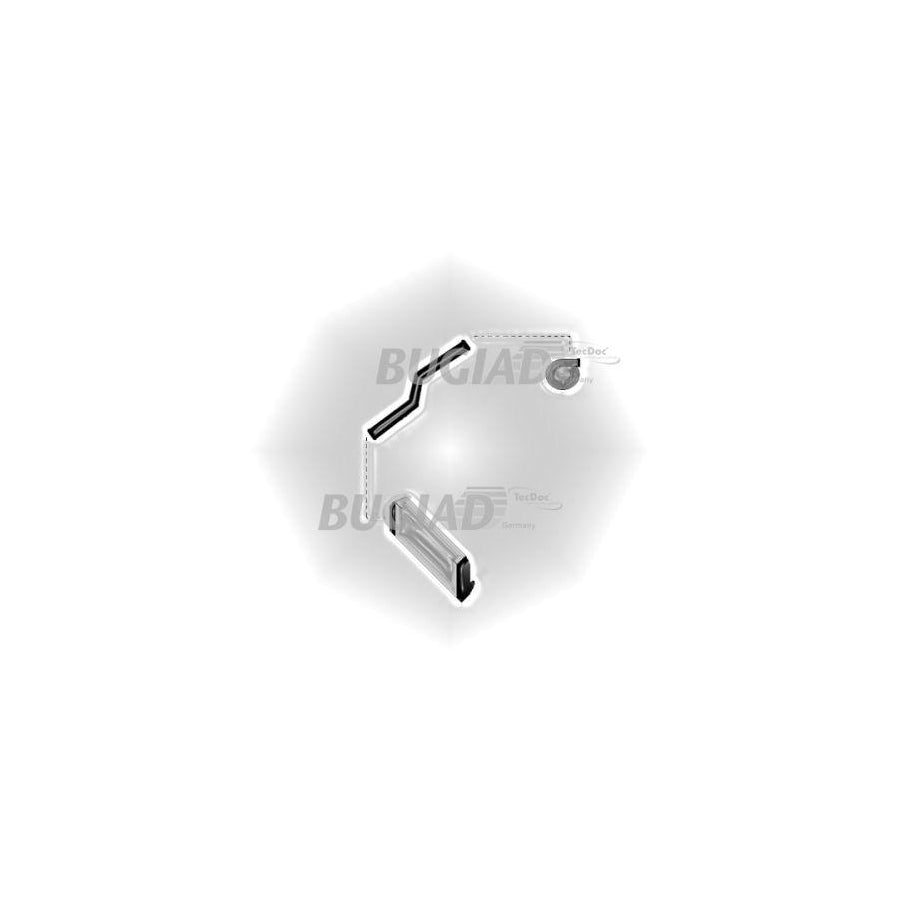 BUGIAD 85622 Charger Intake Hose for Opel Corsa D Hatchback (S07)