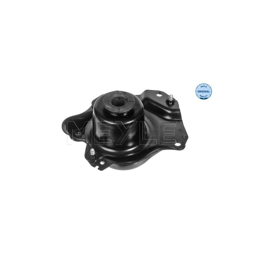Meyle 100 199 0079 Engine Mount