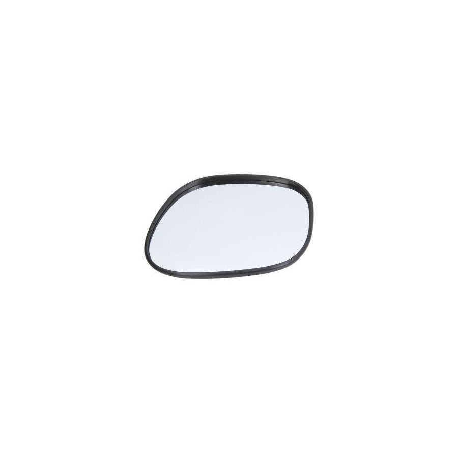 Blic 6102-02-1291958P Mirror Glass, Outside Mirror for Toyota Rav 4