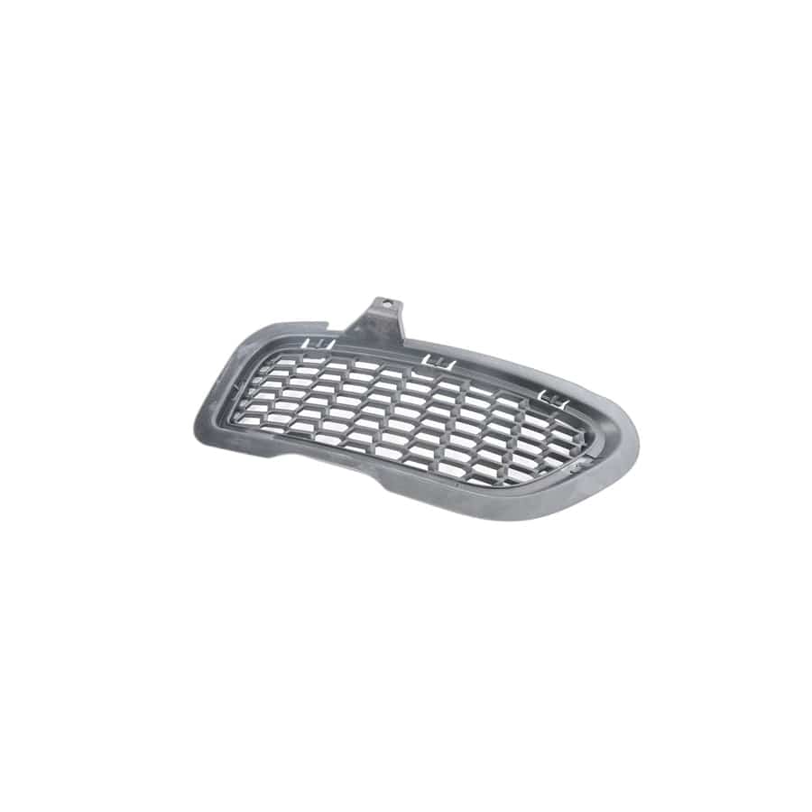 Genuine BMW 51118038092 E89 Grid Lateral Right -M- (Inc. Z4 35i)