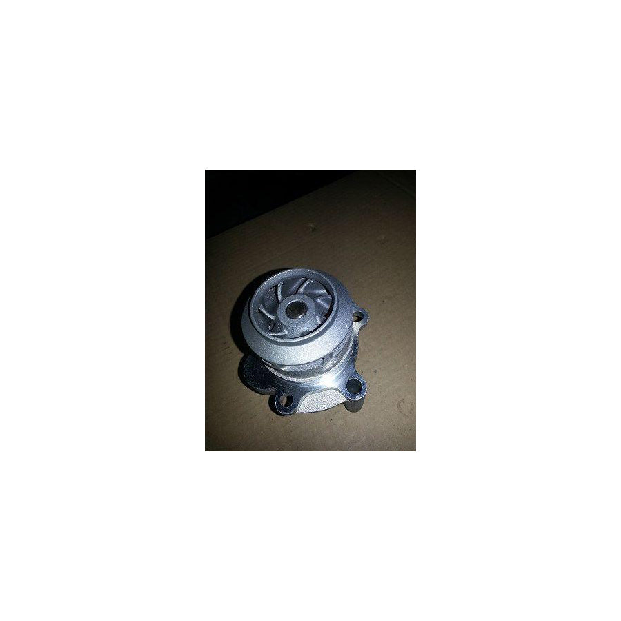 BUGIAD Bsp23115 Water Pump