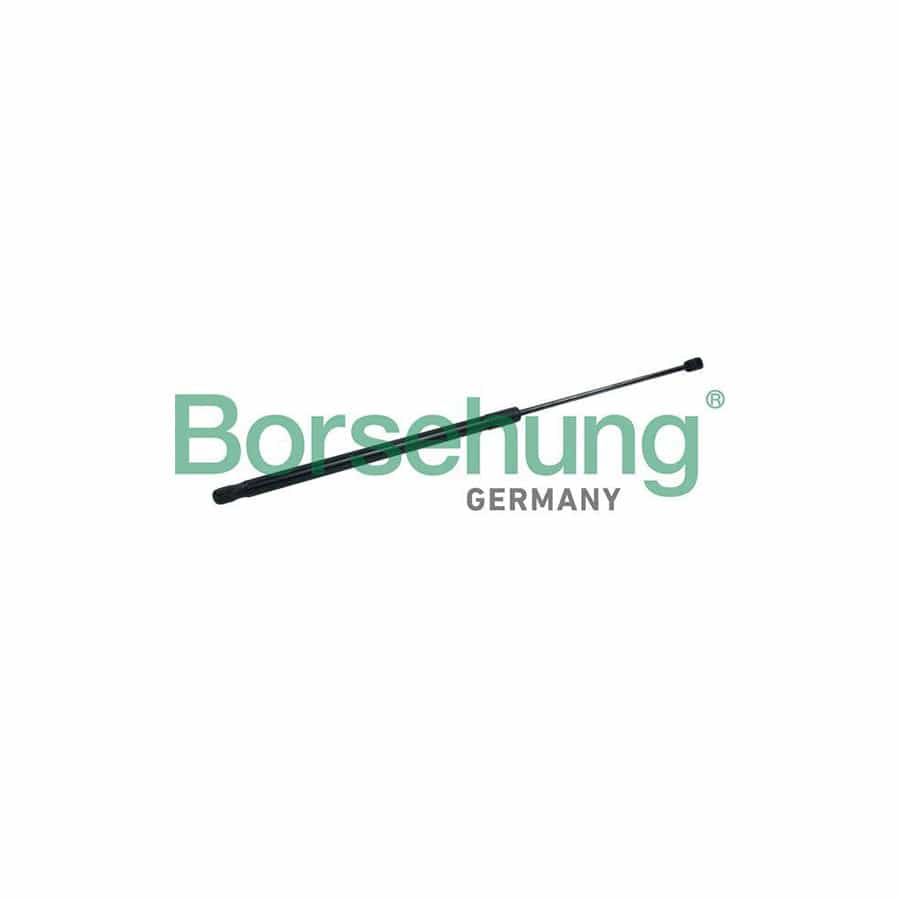 Borsehung B18452 Bonnet Strut for VW Touareg II (7P5, 7P6)