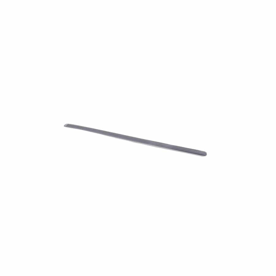 Genuine BMW 51228248042 E38 Gasket,Door Joint,Entrance,Primed,Rr R. (Inc. 740iLP, 740iL & L7)