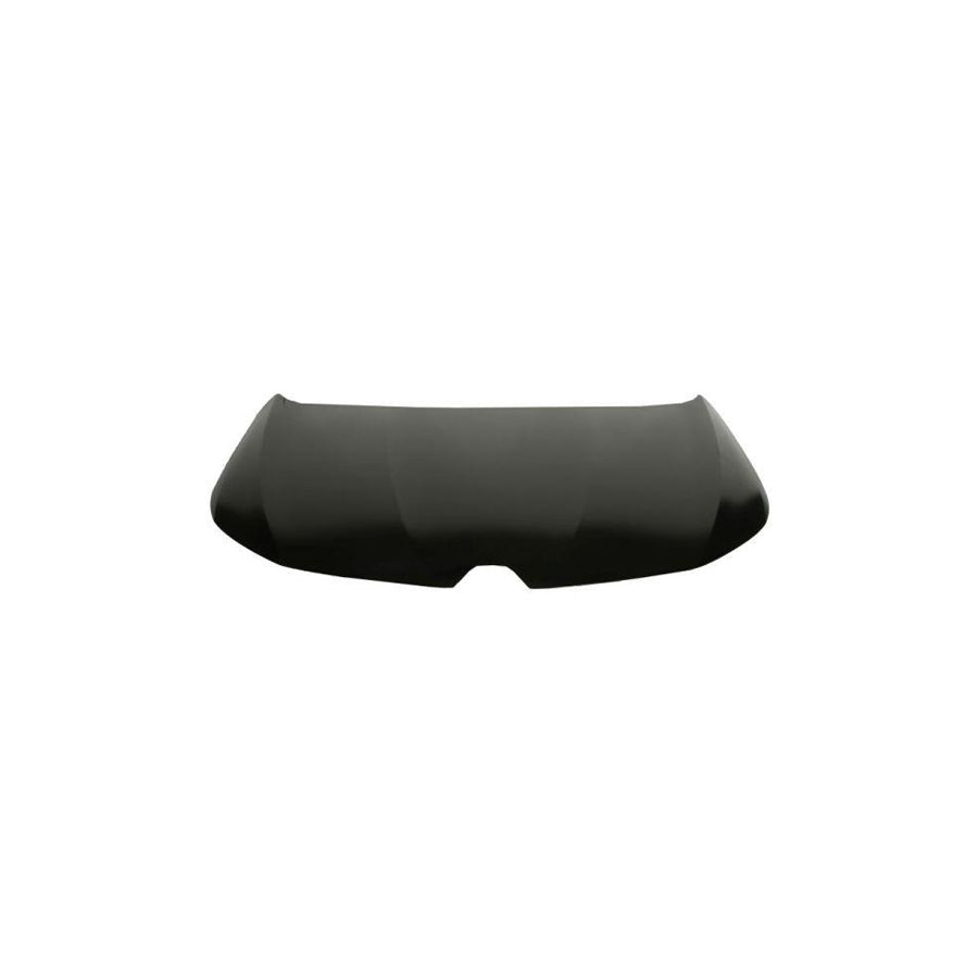 Blic 6803-00-6044280P Bonnet for Renault Megane