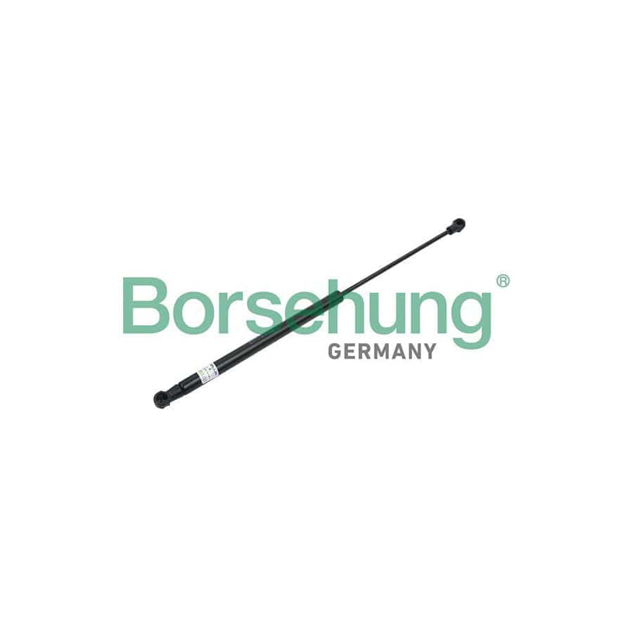 Borsehung B18448 Tailgate Strut for Audi A8 D4 (4H2, 4H8, 4Hc, 4Hl)