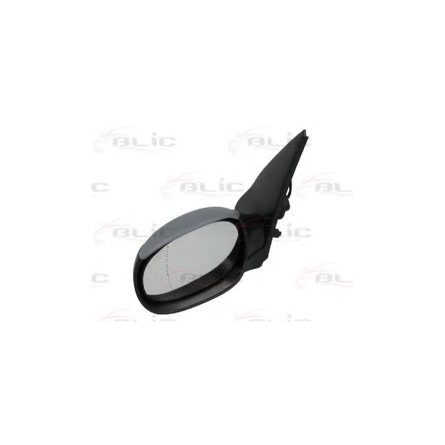 Blic 5402-04-1125287 Wing Mirror for Peugeot 206