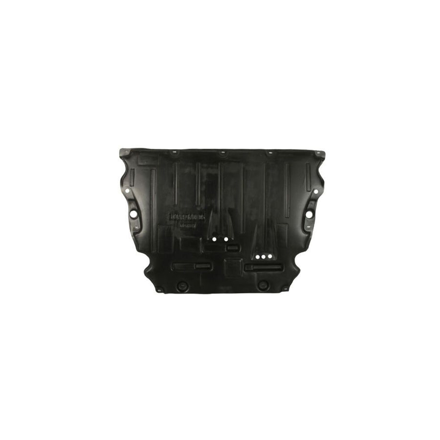 Blic 6601-01-5088831P Panelling, Mudguard