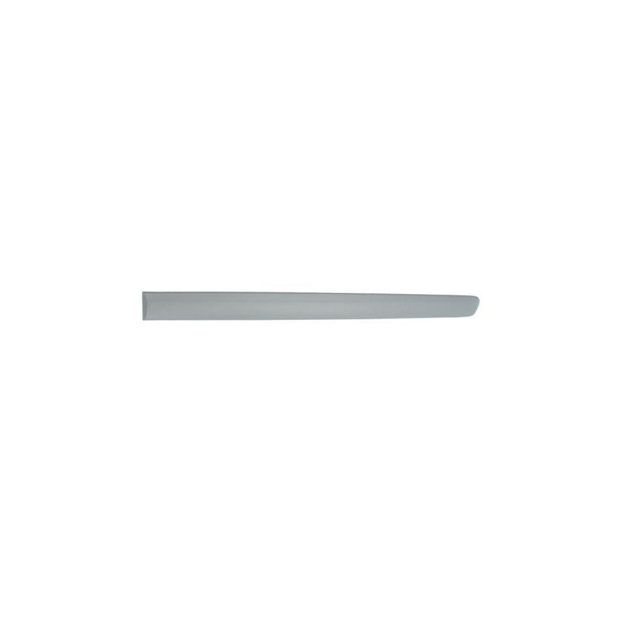 Blic 5703-04-9506577P Door Molding for VW Polo